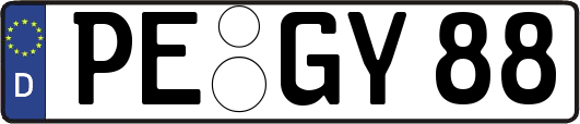 PE-GY88