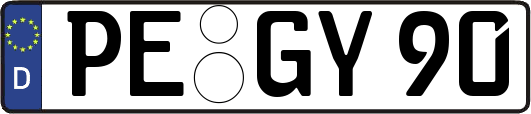PE-GY90