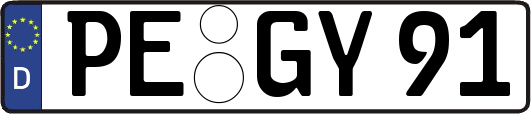 PE-GY91