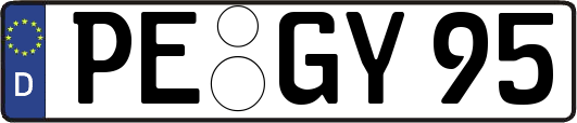 PE-GY95