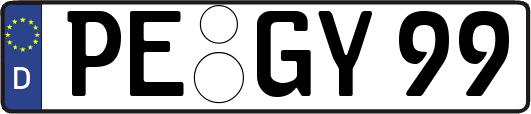 PE-GY99