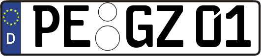 PE-GZ01