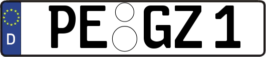 PE-GZ1