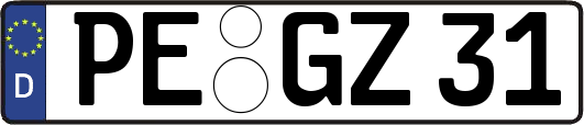 PE-GZ31