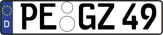 PE-GZ49