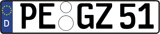 PE-GZ51