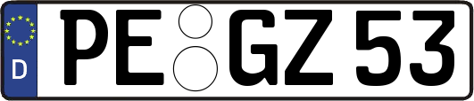 PE-GZ53
