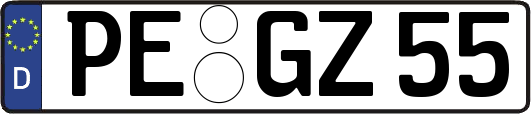 PE-GZ55