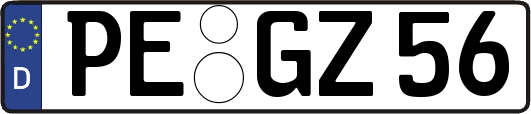PE-GZ56