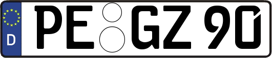 PE-GZ90