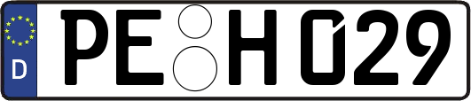 PE-H029