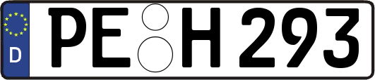 PE-H293