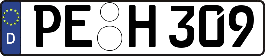 PE-H309