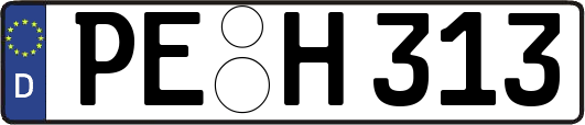 PE-H313