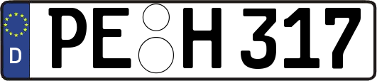 PE-H317