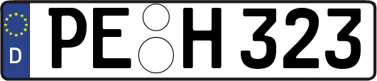 PE-H323