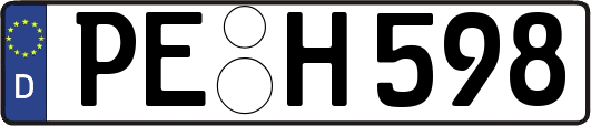 PE-H598