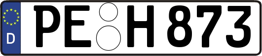 PE-H873