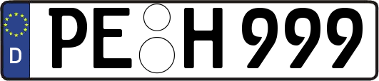 PE-H999