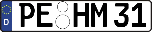 PE-HM31