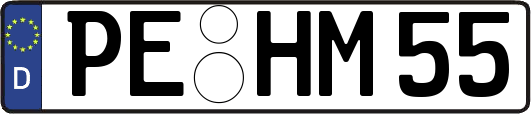PE-HM55