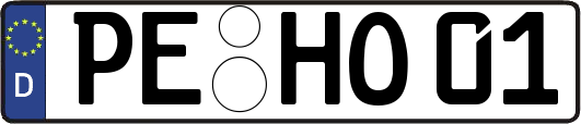 PE-HO01
