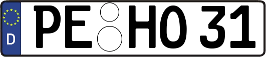 PE-HO31