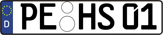 PE-HS01