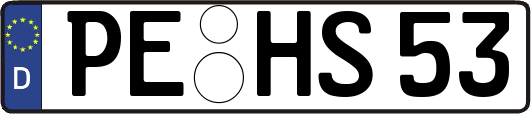 PE-HS53