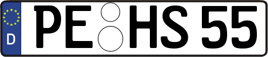 PE-HS55