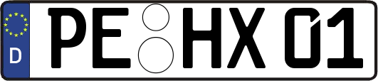 PE-HX01
