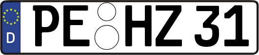 PE-HZ31