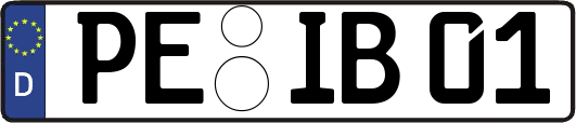 PE-IB01
