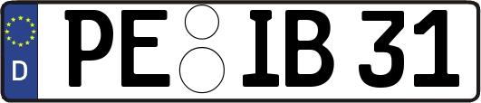 PE-IB31