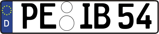PE-IB54