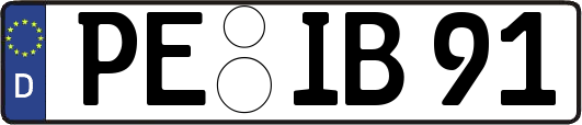 PE-IB91