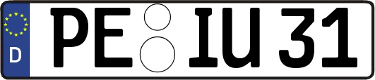 PE-IU31