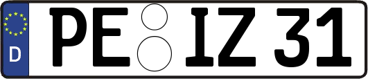 PE-IZ31