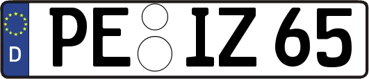 PE-IZ65