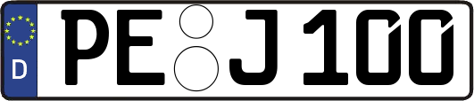 PE-J100