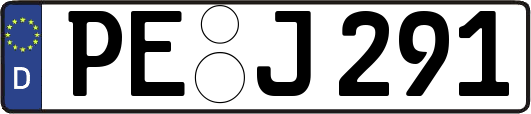 PE-J291