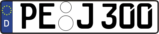 PE-J300