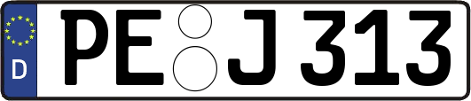 PE-J313