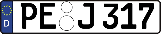 PE-J317