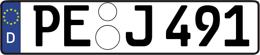 PE-J491
