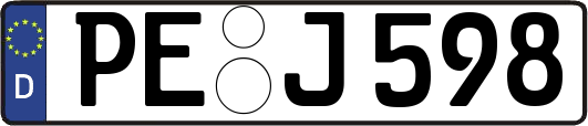 PE-J598