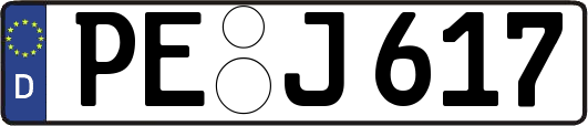 PE-J617