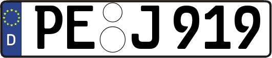 PE-J919