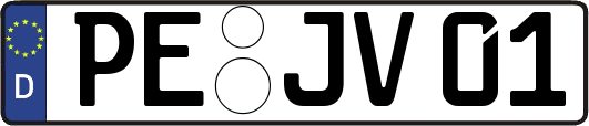 PE-JV01
