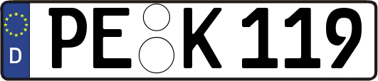PE-K119